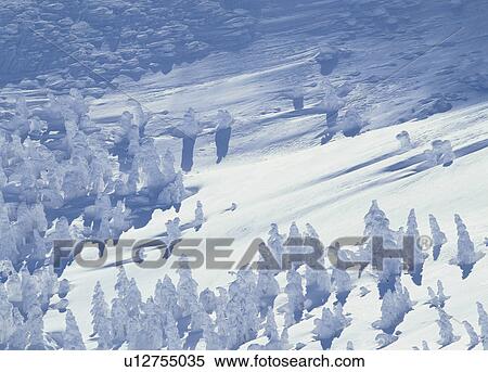 Snow Monster, Yamagata, Yamagata, Japan View Large Photo Image Stock Photography - Snow Monster, Yamagata, Yamagata, Japan. Fotosearch