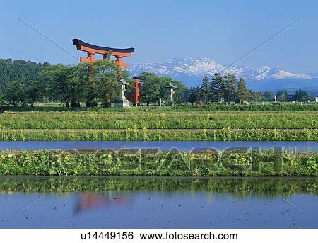 Torii Gate, Tsuruoka, Yamagata, Japan View Large Photo Image Stock Photograph - Torii Gate, Tsuruoka, Yamagata, Japan. Fotosearch