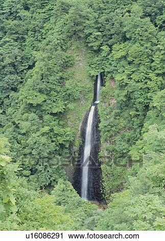 Stock Image - Tsumujikura-taki Falls, Yanaizu, Fukushima, Japan. Fotosearch
