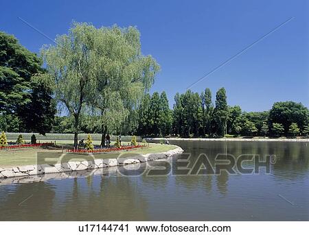 Douhou Park, Tsukuba, Ibaraki, Japan View Large Photo Image Stock Image - Douhou Park, Tsukuba, Ibaraki, Japan. Fotosearch