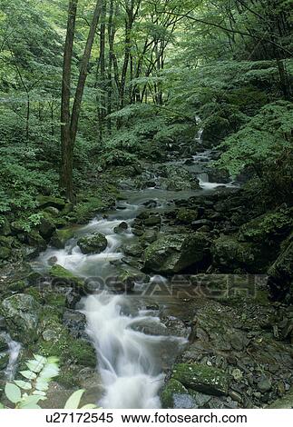 Hanazono Gorge, Kitaibaraki, Ibaraki, Japan View Large Photo Image Stock Photography - Hanazono Gorge, Kitaibaraki, Ibaraki, Japan. Fotosearch