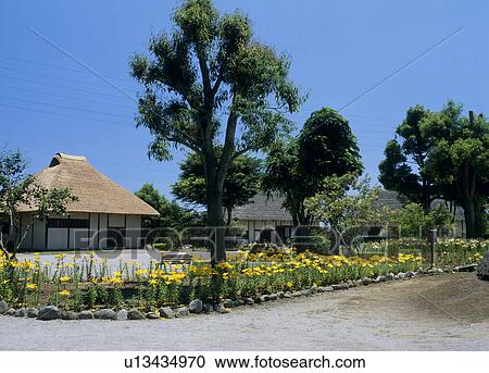 Hitachi Fudoki-no-oka Park, Ishioka, Ibaraki, Japan View Large Photo Image Stock Image - Hitachi Fudoki-no-oka Park, Ishioka, Ibaraki, Japan. Fotosearch