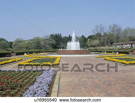 Ibaraki Botanical Garden, Naka, Ibaraki, Japan View Large Photo Image Stock Image - Ibaraki Botanical Garden, Naka, Ibaraki, Japan. Fotosearch