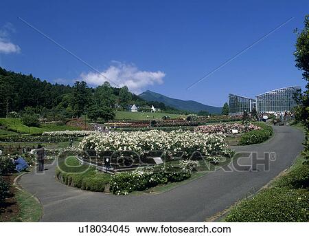 Stock Photography - Ibaraki Flower Park, Ishioka, Ibaraki, Japan. Fotosearch
