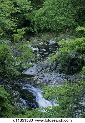 Stock Image - Ookita George, Kitaibaraki, Ibaraki, Japan. Fotosearch