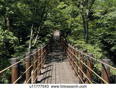 Shiomidaki Suspension Bridge, Takahagi, Ibaraki, Japan View Large Photo Image Stock Image - Shiomidaki Suspension Bridge, Takahagi, Ibaraki, Japan. Fotosearch