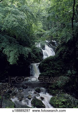 Yokokawa-no-shimotaki Falls, Hitachiota, Ibaraki, Japan View Large Photo Image Stock Photo - Yokokawa-no-shimotaki Falls, Hitachiota, Ibaraki, Japan. Fotosearch