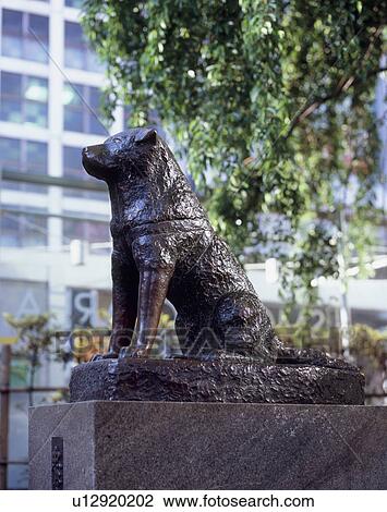 Hachiko, Shibuya, Tokyo, Japan View Large Photo Image Stock Image - Hachiko, Shibuya, Tokyo, Japan. Fotosearch