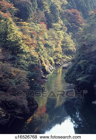 Kazuma Gorge, Okutama, Tokyo, Japan View Large Photo Image Stock Photo - Kazuma Gorge, Okutama, Tokyo, Japan. Fotosearch