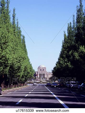 Meiji Jingu Gaien, Minato, Tokyo, Japan View Large Photo Image Stock Photo - Meiji Jingu Gaien, Minato, Tokyo, Japan. Fotosearch