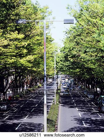 Omotesando, Shibuya, Tokyo, Japan View Large Photo Image Stock Image - Omotesando, Shibuya, Tokyo, Japan. Fotosearch