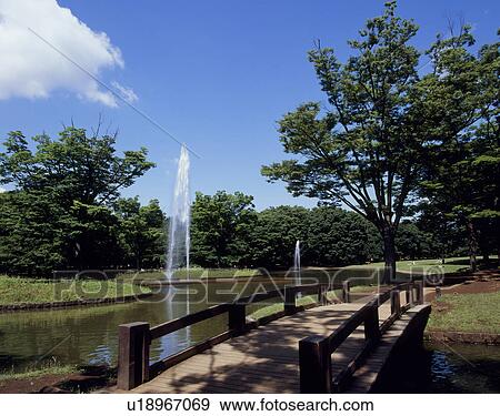 Yoyogi Park, Shibuya, Tokyo, Japan View Large Photo Image Stock Photo - Yoyogi Park, Shibuya, Tokyo, Japan. Fotosearch