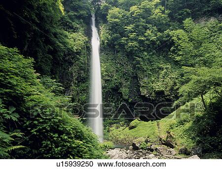 Amidagataki Falls, Gujo, Gifu, Japan View Large Photo Image Stock Image - Amidagataki Falls, Gujo, Gifu, Japan. Fotosearch