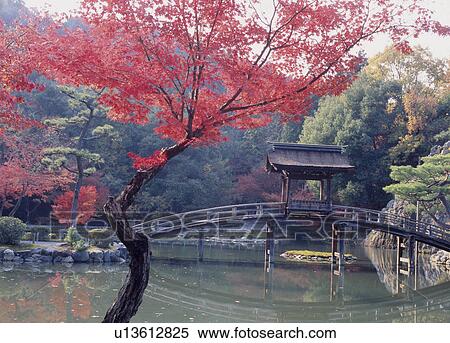 Autumn Leaves at Eihoji Temple, Tajimi, Gifu, Japan View Large Photo Image Stock Photography - Autumn Leaves at Eihoji Temple, Tajimi, Gifu, Japan. Fotosearch