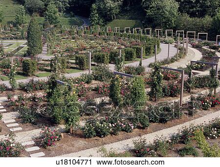 Stock Image - Flower Festival Commemorative Park, Kani, Gifu, Japan. Fotosearch