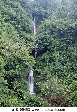 Stock Image - Gohou-no-taki Falls, Yaotsu, Gifu, Japan. Fotosearch
