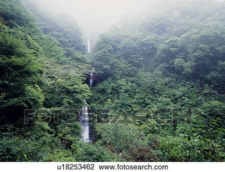 Gohou-no-taki Falls, Yaotsu, Gifu, Japan View Large Photo Image Stock Image - Gohou-no-taki Falls, Yaotsu, Gifu, Japan. Fotosearch