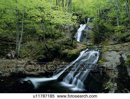 Stock Photography - Hira Falls, Takayama, Gifu, Japan. Fotosearch