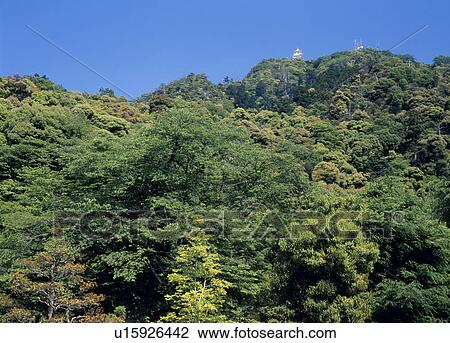 Mount Kinka, Gifu, Gifu, Japan View Large Photo Image Stock Image - Mount Kinka, Gifu, Gifu, Japan. Fotosearch