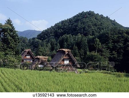 Shirakawago, Shirakawa, Gifu, Japan View Large Photo Image Stock Image - Shirakawago, Shirakawa, Gifu, Japan. Fotosearch