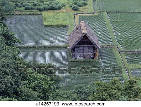 Stock Photo - Shirakawago, Shirakawa, Gifu, Japan. Fotosearch