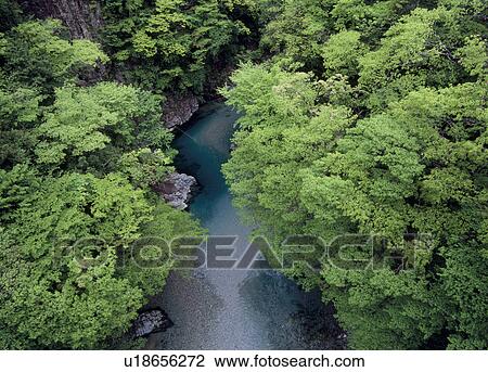 Stock Image - Tsukechi Gorge, Nakatsugawa, Gifu, Japan. Fotosearch