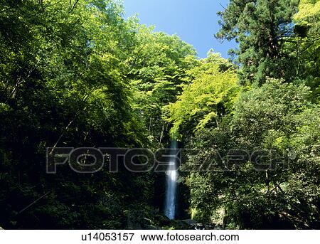 Stock Photo - Yoro Falls, Yoro, Gifu, Japan. Fotosearch