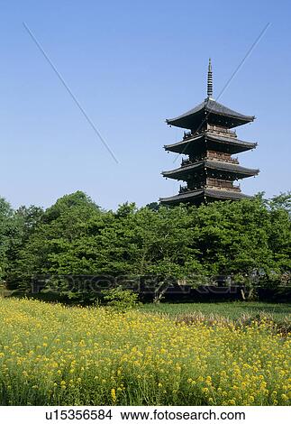 Five Story Pagoda of Bitchu Kokubunji Temple, Soja, Okayama, Japan View Large Photo Image Picture - Five Story Pagoda of Bitchu Kokubunji Temple, Soja, Okayama, Japan. Fotosearch