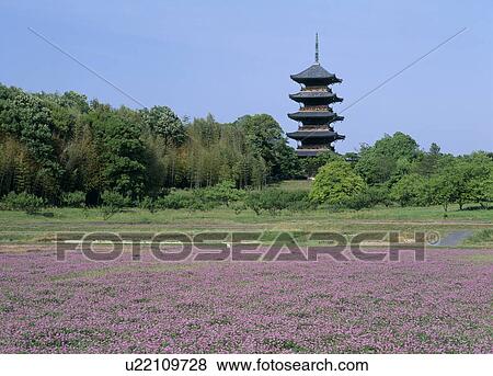 Stock Photo - Five Story Pagoda of Bitchu Kokubunji Temple, Soja, Okayama, Japan. Fotosearch
