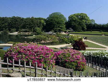 Stock Photo - Koraku-en, Okayama, Okayama, Japan. Fotosearch