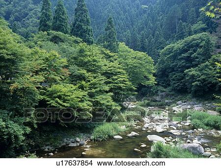Okutsu Gorge, Kagamino, Okayama, Japan View Large Photo Image Picture - Okutsu Gorge, Kagamino, Okayama, Japan. Fotosearch
