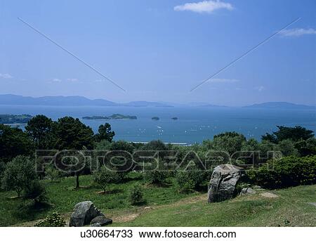 Stock Image - Olive Field, Setouchi, Okayama, Japan. Fotosearch