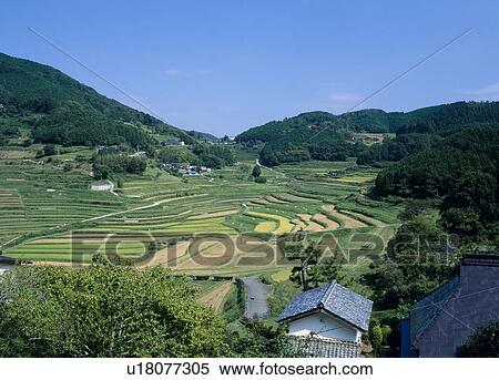 Stock Photography - Oohaganishi Terraced Rice Paddies, Misaki, Okayama, Japan. Fotosearch