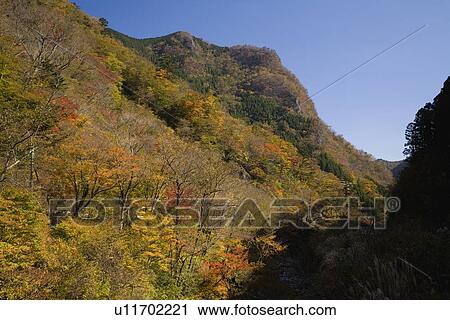 Stock Image - Autumn Leaves at Gokanosho, Yatsushiro, Kumamoto, Japan. Fotosearch