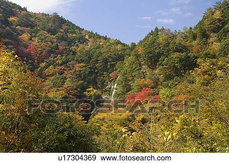 Autumn Leaves at Gokanosho, Yatsushiro, Kumamoto, Japan View Large Photo Image Stock Photo - Autumn Leaves at Gokanosho, Yatsushiro, Kumamoto, Japan. Fotosearch
