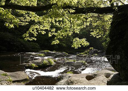 Kikuchi Gorge, Kikuchi, Kumamoto, Japan View Large Photo Image Stock Image - Kikuchi Gorge, Kikuchi, Kumamoto, Japan. Fotosearch