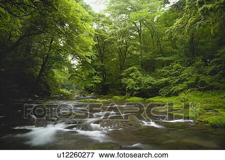 Stock Photo - Kikuchi Gorge, Kikuchi, Kumamoto, Japan. Fotosearch