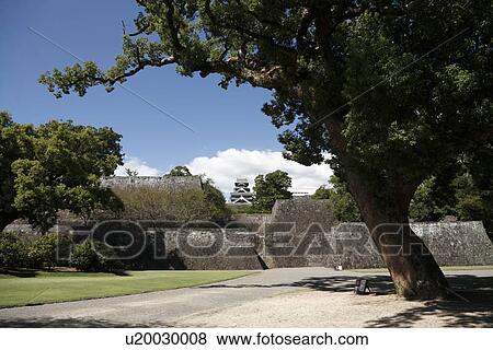 Kumamoto Castle, Kumamoto, Kumamoto, Japan View Large Photo Image Stock Photo - Kumamoto Castle, Kumamoto, Kumamoto, Japan. Fotosearch