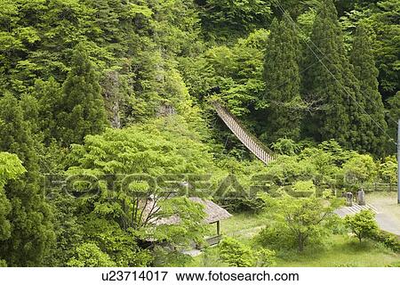 Momikii Suspension Bridge, Yatsushiro, Kumamoto, Japan View Large Photo Image Stock Photo - Momikii Suspension Bridge, Yatsushiro, Kumamoto, Japan. Fotosearch