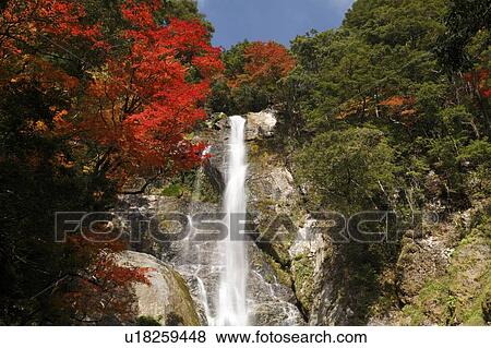 Stock Photo - Sendan Todoroki Falls, Yatsushiro, Kumamoto, Japan. Fotosearch