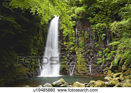 Shiraito Falls, Nishihara, Kumamoto, Japan View Large Photo Image Stock Image - Shiraito Falls, Nishihara, Kumamoto, Japan. Fotosearch