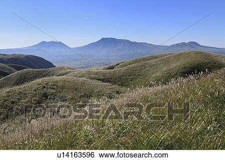 Silver Grass at Mount Aso, Aso, Kumamoto, Japan View Large Photo Image Stock Photograph - Silver Grass at Mount Aso, Aso, Kumamoto, Japan. Fotosearch