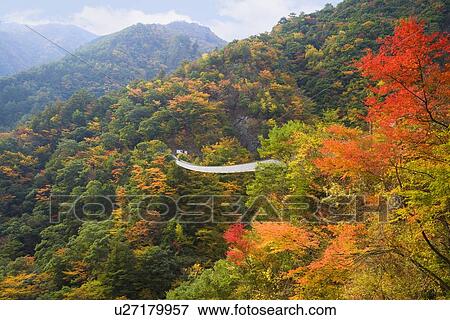 Umenoki Todoro Bridge, Yatsushiro, Kumamoto, Japan View Large Photo Image Stock Photo - Umenoki Todoro Bridge, Yatsushiro, Kumamoto, Japan. Fotosearch