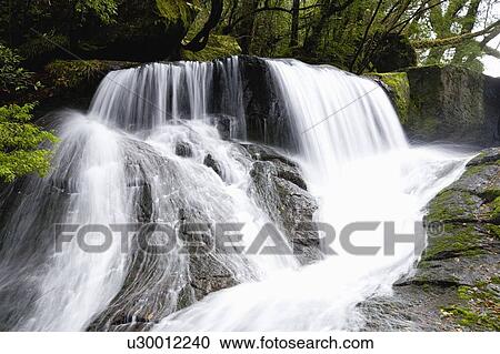 Yonjusanman Falls, Kikuchi, Kumamoto, Japan View Large Photo Image Stock Image - Yonjusanman Falls, Kikuchi, Kumamoto, Japan. Fotosearch
