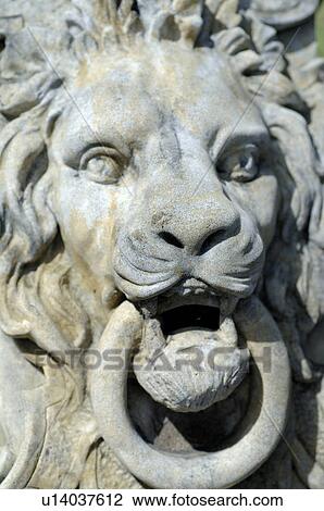 Stock Image - Lions head. Fotosearch