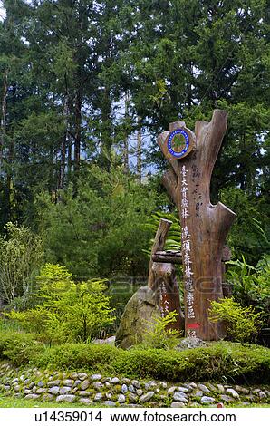 Picture - Asia, China, Taiwan, Nantou, Lugu Township, Xitou. Fotosearch