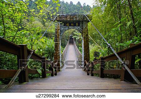 Picture - Asia, China, Taiwan, Nantou, Lugu Township, Xitou, Cueihong Bridge. Fotosearch