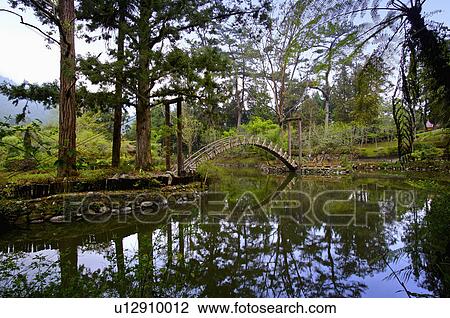 Asia, China, Taiwan, Nantou, Lugu Township, Xitou, Daxue Pond View Large Photo Image Stock Image - Asia, China, Taiwan, Nantou, Lugu Township, Xitou, Daxue Pond. Fotosearch