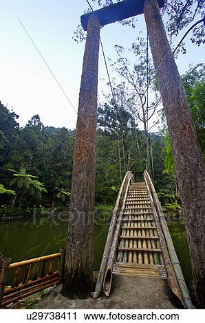 Asia, China, Taiwan, Nantou, Lugu Township, Xitou, Daxue Pond View Large Photo Image Stock Image - Asia, China, Taiwan, Nantou, Lugu Township, Xitou, Daxue Pond. Fotosearch