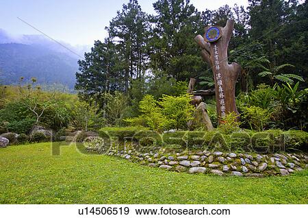 Stock Photo - Asia, China, Taiwan, Nantou, Lugu Township, Xitou. Fotosearch